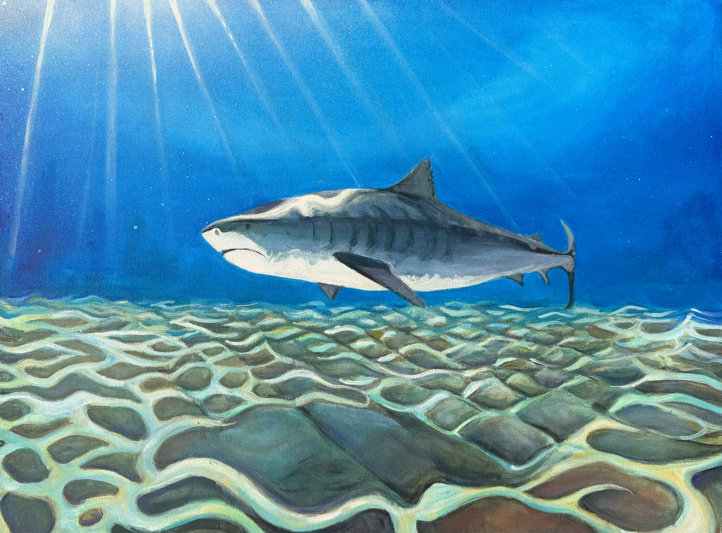 great white